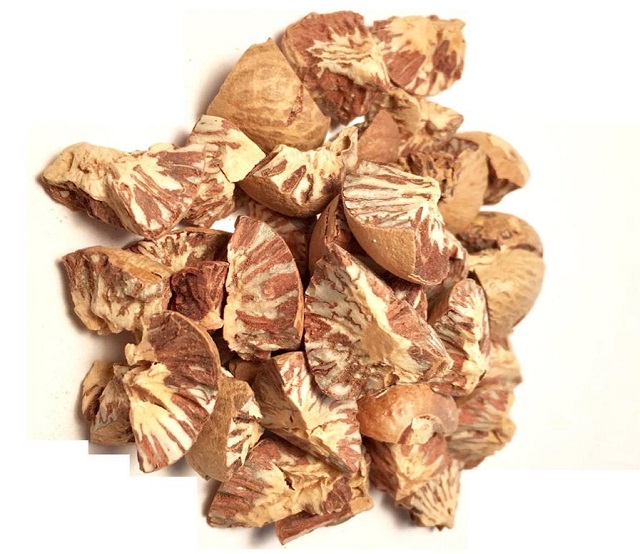 Thủ tục xuất khẩu hạt cau khô Areca nut nên chuẩn bị đầy đủ các loại hồ sơ